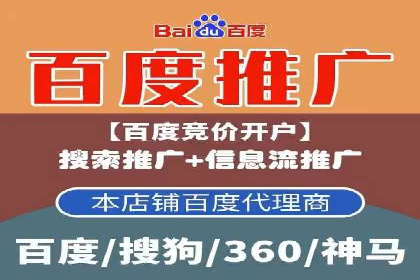 搜索引擎推广的佼佼者——百度搜索推广案例